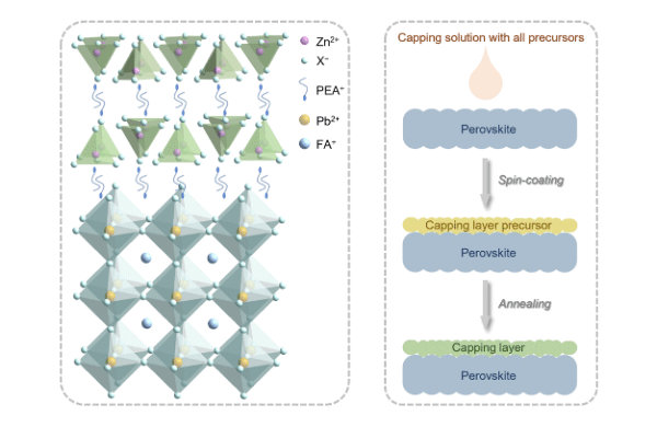 A new environment friendly way to make perovskite cells greener(图1)